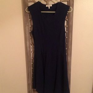 Navy Fit and Flare Dress